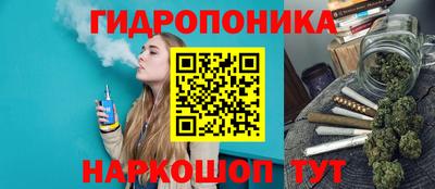 ГАЛЛЮЦИНОГЕННЫЕ ГРИБЫ Можга