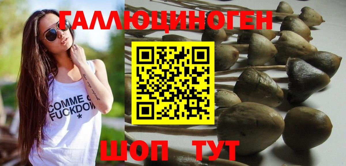 Псилоцибиновые грибы Psilocybe  Псилоцибиновые грибы ЛСД  Вышний Волочёк  Вход с VPN 
